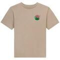 Tee-shirts sur Grenoble : T-shirt Converse Outdoor Leaf