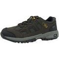 Audio sur Grenoble : Chaussures Br�tting - Marron