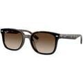 Lunettes sur Grenoble : Lunettes de soleil Ray-ban Lunettes de soleil rectangulaires RB4461D