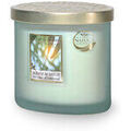 Bougies, diffuseurs Heart And Home Bougie souffle v&eacute;g&eacute;tal parfum&eacute;e 2 m&egrave;ches Vert Unique. . Maison & D&eacute;co > Bougies, diffuseurs. Grenoble