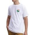 Tee-shirts sur Grenoble : T-shirt Converse Outdoor Leaf