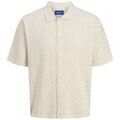 Chemises/chemisettes sur Grenoble : Chemise Jack & Jones 192820VTPE26