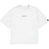 T-shirt Alpha Industries Studio Edition Backprint T-Shirt - pastel grey melange