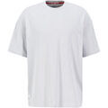 T-shirt Alpha Industries Logo Backprint T-Shirt - pastel grey