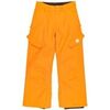 Pantalon DC Shoes Banshee