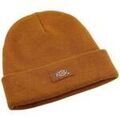 Bonnet Dickies Gibsland