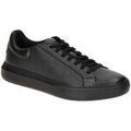 Chaussures sur Grenoble : Ville basse Geox -