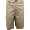 Shorts/Bermuda sur Grenoble : Short Dickies -