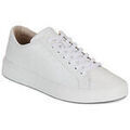 Baskets homme sur Grenoble : Baskets basses Blackstone CG117-WHITE