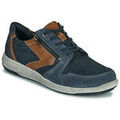 Baskets basses Josef Seibel ENRICO 20 Grenoble