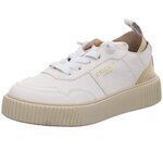 Ville basse Crick It -
