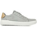 Baskets homme sur Grenoble : Baskets Timberland Seneca Bay Low Lace Sneaker