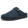 Chaussons / Pantoufles sur Grenoble : Chaussons Ara -
