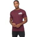 Tee-shirts sur Grenoble : T-shirt Crosshatch Jampstead