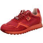 Baskets basses Cetti -