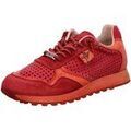 Baskets basses Cetti -