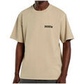 T-shirt Dickies DARRTOWN SS TEE EUCALYPTUS