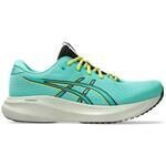 Chaussures Asics 1011C080-300