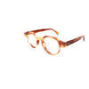 Lunettes de soleil Xlab verres photochromiques Sifno couleur miel stri&eacute;/neutre brun