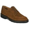 Derbies Brett & Sons HAMILTON