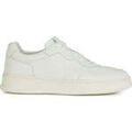Baskets homme sur Grenoble : Baskets basses Geox arvier sneakers