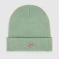 Bonnet Dickies Gibsland Grenoble