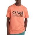 Tee-shirts sur Grenoble : T-shirt O'neill Cali