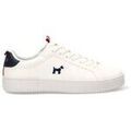 Baskets homme sur Grenoble : Baskets basses Williot 811845