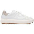 Baskets basses Sun68 Sneaker Grenoble