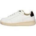 Baskets basses Blauer -