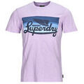 T-shirt Superdry CALI STRIPED LOGO T SHIRT Grenoble