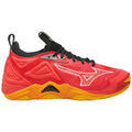 Running sur Grenoble : Chaussures Mizuno Wave Momentum 3
