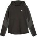 Pull Puma Evostripe