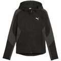 Pull sur Grenoble : Pull Puma Evostripe