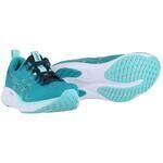 Chaussures Asics Gel Pulse 16