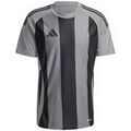 Tee-shirts sur Grenoble : T-shirt adidas T-shirt Striped 24