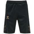 Shorts/Bermuda sur Grenoble : Short hummel Short Cima XK