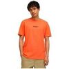 T-shirt Superdry T-shirt ample Micro Logo Graphic