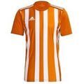 Tee-shirts sur Grenoble : T-shirt adidas T-shirt Striped 21