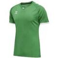 Tee-shirts sur Grenoble : T-shirt hummel T-shirt Core Volley