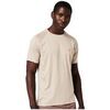 T-shirt Superdry T-shirt Train Premium beige