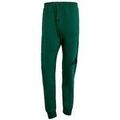 Sportswear sur Grenoble : Jogging adidas Pantalon Essentials Big Logo French Terry Vert