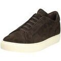 Baskets homme sur Grenoble : Baskets basses Lloyd -
