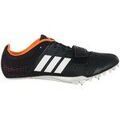 Running sur Grenoble : Chaussures adidas Adizero Accelerator