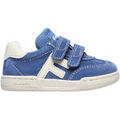 Chaussures enfants sur Grenoble : Baskets basses enfant Falcotto Baskets en cuir et su&egrave;de DASKY 2 VL. Bleu