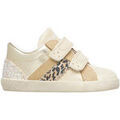 Chaussures enfants sur Grenoble : Baskets basses enfant Falcotto Baskets en cuir et su&egrave;de KILDE VL. Gris