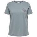 Tee-shirts sur Grenoble : T-shirt Only Carmakoma 195455VTPE26