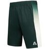 Short Le Coq Sportif Tennis Pro N�2 Vert