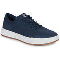 Baskets homme sur Grenoble : Baskets basses Timberland MAPLE GROVE KNIT OX