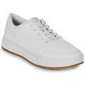 Baskets homme sur Grenoble : Baskets basses Timberland MAPLE GROVE